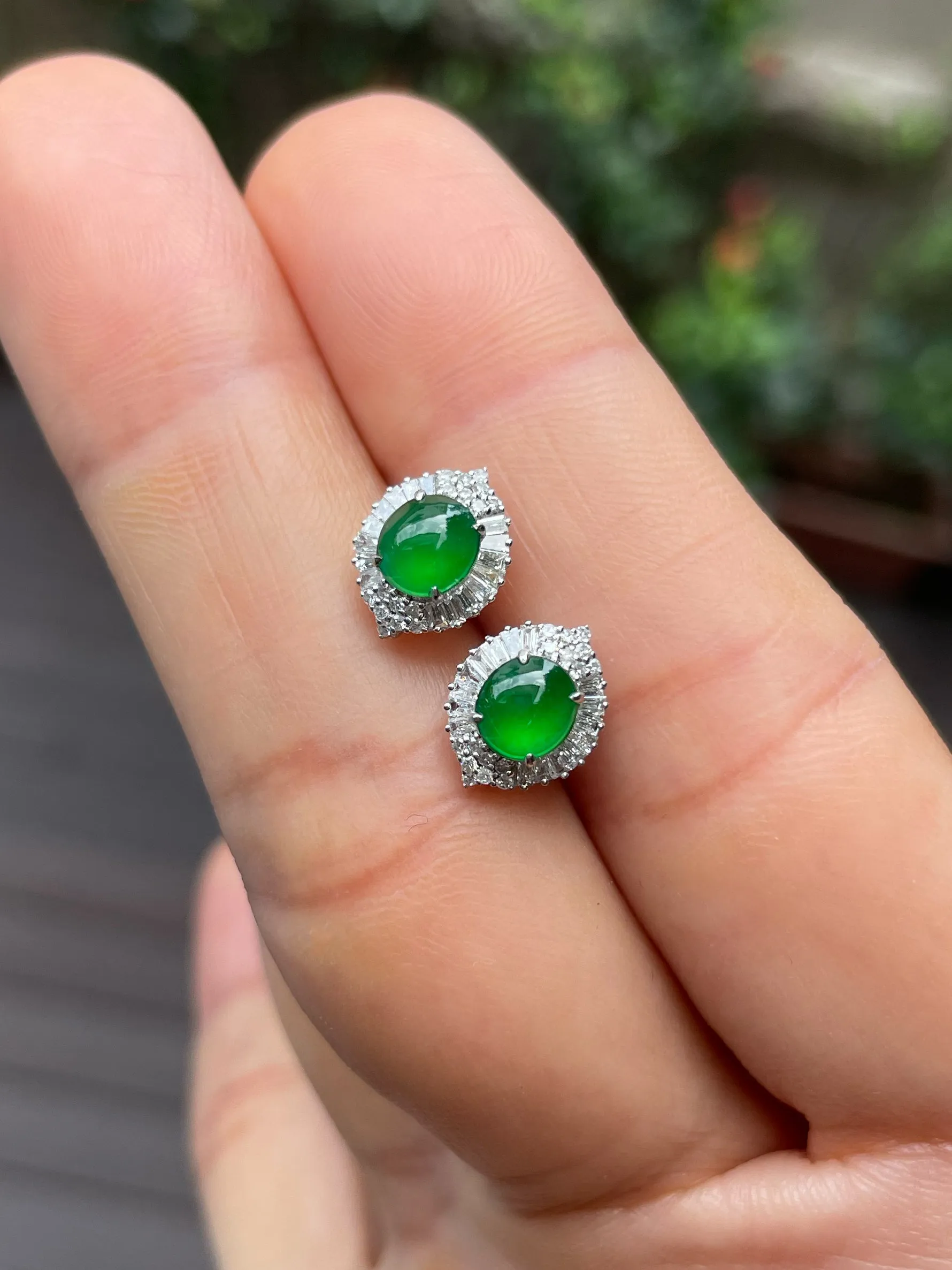 Green Jade Earrings - Cabochons (NJE213)